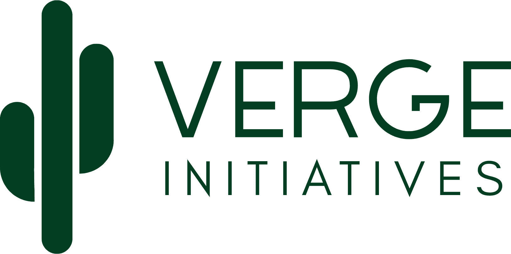 Verge Initiatives